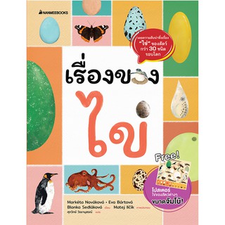 NANMEEBOOKS หนังสือ เรื่องของไข่ (ฟรีโปสเตอร์ไข่ ขนาดจัมโบ้ในเล่ม!) : เสริมความรู้เยาวชน สารานุกรม