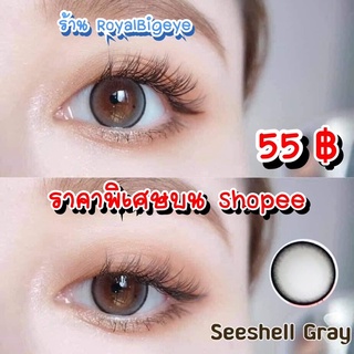 คอนแทคเลนส์ 🎀 SeeShell Gray 🎀(Wink Lens)[มีค่าสายตาสั้นถึง 600]💝สีเทาขนาดบิ๊กอายคมจิกสวยขายดี