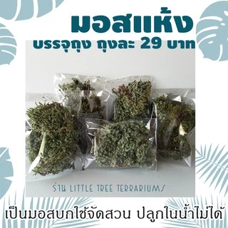 มอสแห้ง ถุงละ 29 บาท แถมฟรีคู่มือปลูกมอสทุกออเดอร์