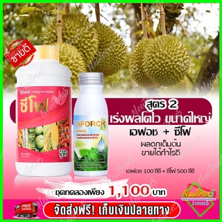 💥ส่งฟรี 💥ซีโฟ ปุ๋ยน้ำซีโฟ ( 500 ซีซี ) บำรุงผล เร่งการเติบโตผล + เอฟอช Aforch ( 100 ซีซี ) สารจับใบ ของแท้ 100%