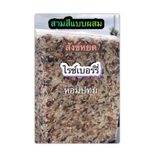 ข้าวสามสีแบบรวม ข้าวสังข์หยด+ไรข์เบอรี่+หอมปทุม ข้าวเพื่อสุขภาพ ข้าวใหม่2566