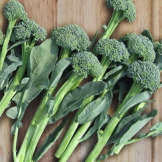เมล็ดพันธุ์ บล็อคโคลี่เบบี้ Green Sprouting Broccoli Seed บรรจุ 400 เมล็ด คุณภาพดี ของแท้ 100%