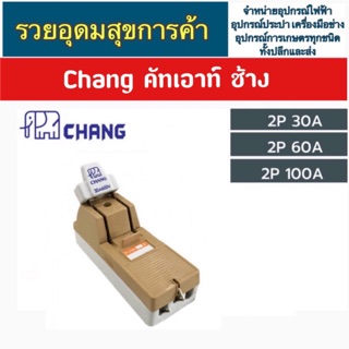 Chang คัทเอาท์ ช้าง Cutout 2P30A -100A