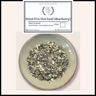 Organic Uva Ursi Bearberry Leaf Tea ใบแบร์เบอรี่ (Arctostaphylos uva ursi)