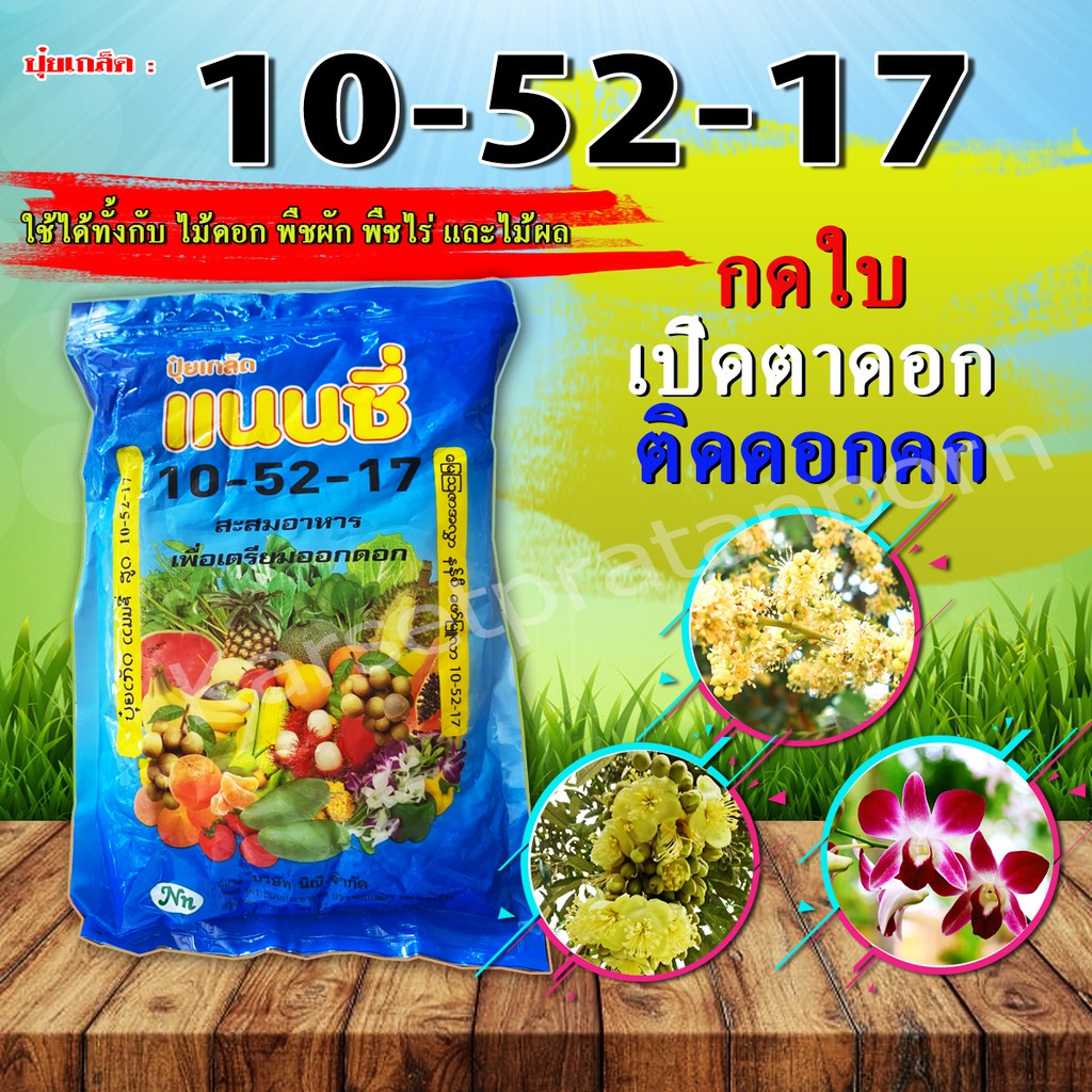 10-52-17 ปุ๋ยเกล็ด ปุ๋ยเปิดตาดอก แนนซี่ บรรจุ 1 กิโลกรัม