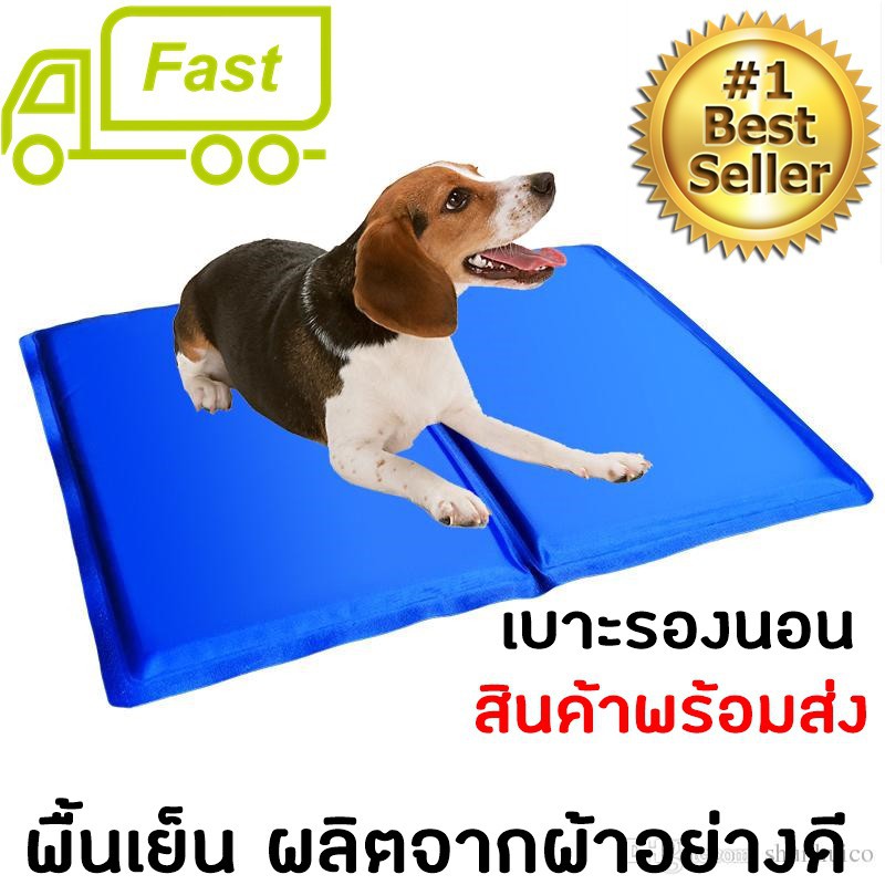 Pet cool mat(M) ที่นอนเจลเย็นหมา แผ่นเจลรองนอนหมา แผ่นเจลเย็น M 40cm X