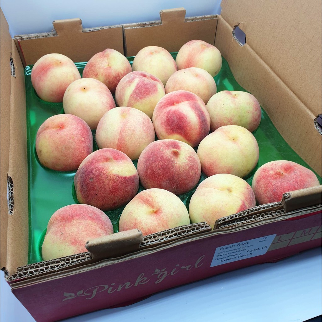 ลูกพีชสดนำเข้า PEACHES 桃もも (CHN) ~ลดพิเศษ~ พรีเมี่ยม หอม หวาน ! ผลไม้สดๆ ผลไม้นอก นำเข้า (ลูกท้อสด ผลไม้ลูกพีชนอก) ราคา ถูกที่สุด ดีลบีเคเค แกลเลอรีภาพที่ 8