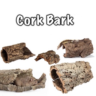 โพรงต้นไม้ จากธรรมชาติ ทำจากไม้คอร์ก Cork Bark ตกแต่งตู้