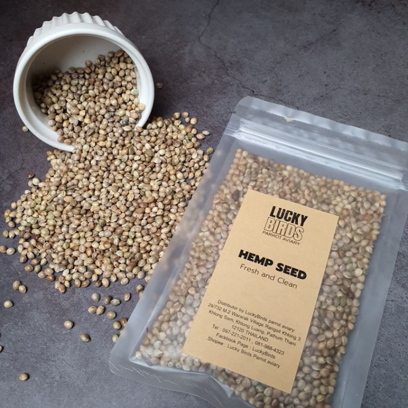 ฮวยมั้ว Hemp seed ธัญพืชสำหรับนก อาหารนก  เกรด premium