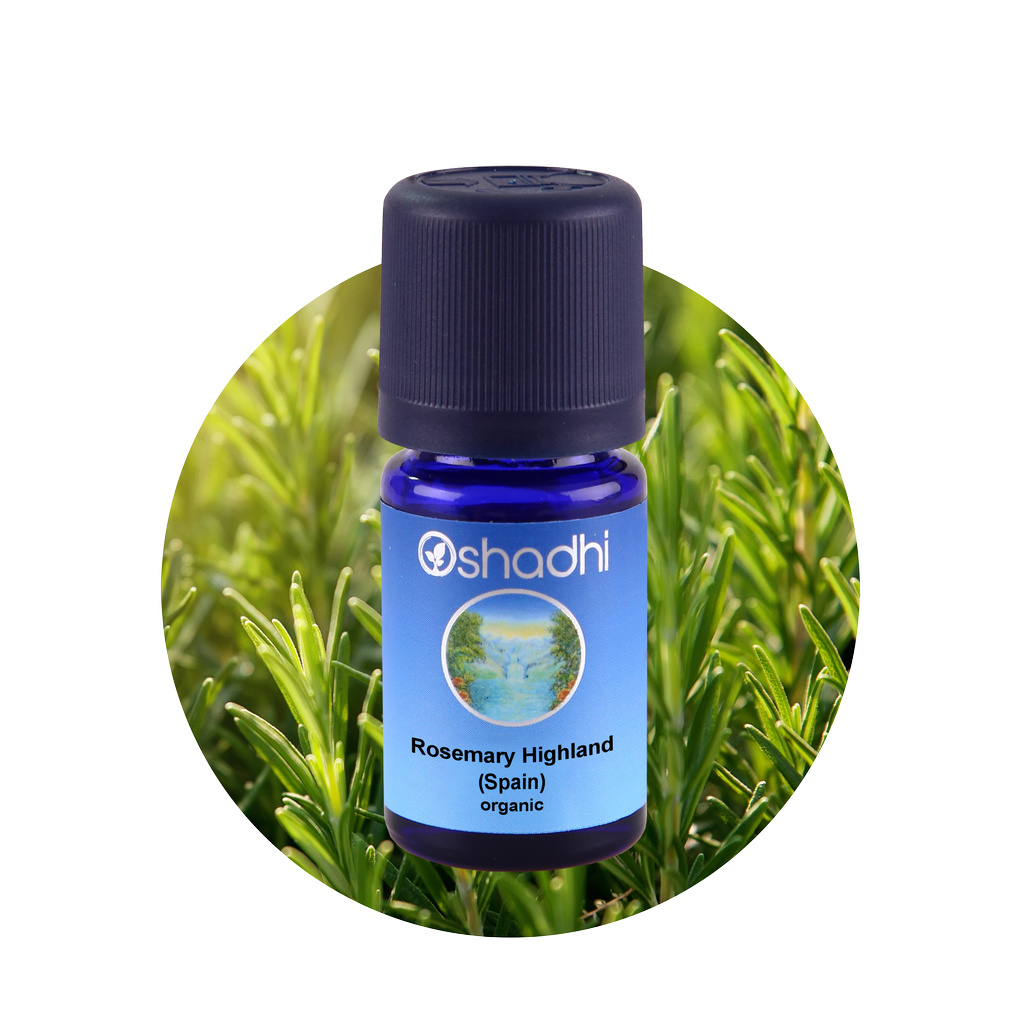 Oshadhi - Rosemary Highland, Spain organic essential oil 10 ml