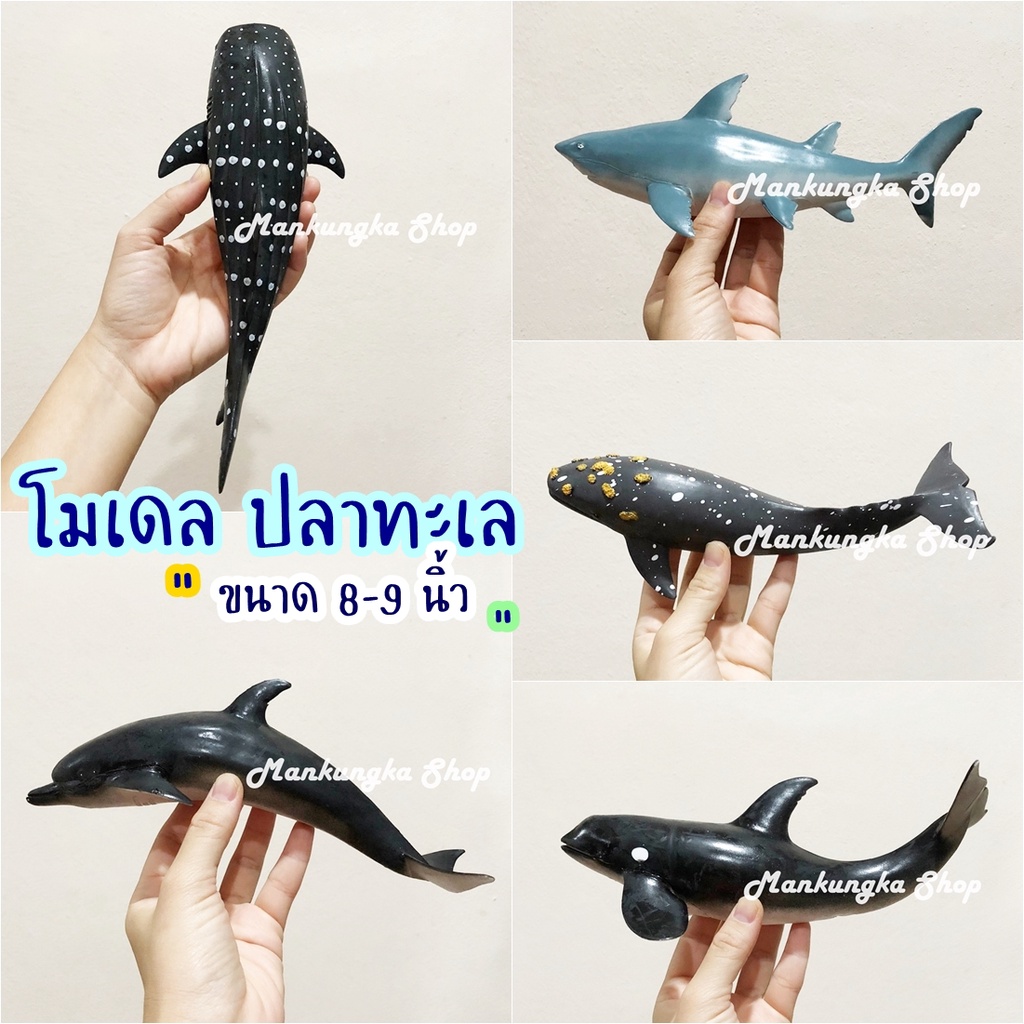 (ตัวใหญ่ ขนาด 8-9 นิ้ว) โมเดล ปลา ปลาทะเล วาฬ ฉลาม โลมา สัตว์น้ำ ของเล่นเด็ก [5]