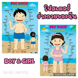 กันน้ำ! โปสเตอร์คำศัพท์ร่างกายของฉัน ขนาด A4 My Body (Boy &amp; Girl) EA-336 337 แผ่นพลาสติก 2WINBOOKTOYS