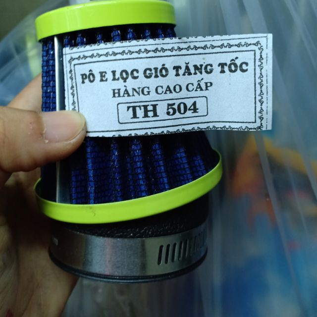 PÔ E 504 ดอกแอปริคอท