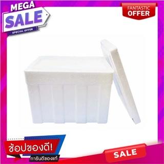 ไทยโฟม กล่องโฟม ขนาด 20 กิโลกรัมFoam Box 20 Kg A x 1 Box