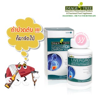 อาหารเสริมบำรุงตับ Image tree livergro multivitamin วิตามินรวม ผสม กรดอะมิโน และ เปลือกสนฝรั่งเศส ยาบำรุงตับ ล้างพิษตับ