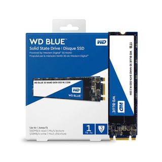 SSD WD BLUE 1TB M.2 2280 READ 560MB/S, WRITE 530MB/S (WDS100T2B0B)