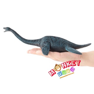 Monkey Toys - โมเดลไดโนเสาร์ Plesiosaurus ขนาด 30.00 CM (จากหาดใหญ่)