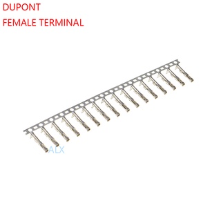 ขั้วต่อสายไฟ Dupont Reed Dupont ตัวเมีย 2.54 มม. สําหรับสายไฟจัมเปอร์ 200 ชิ้น