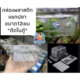 กล่องพลาสติกแยกปลาติดในตู้ 12cm