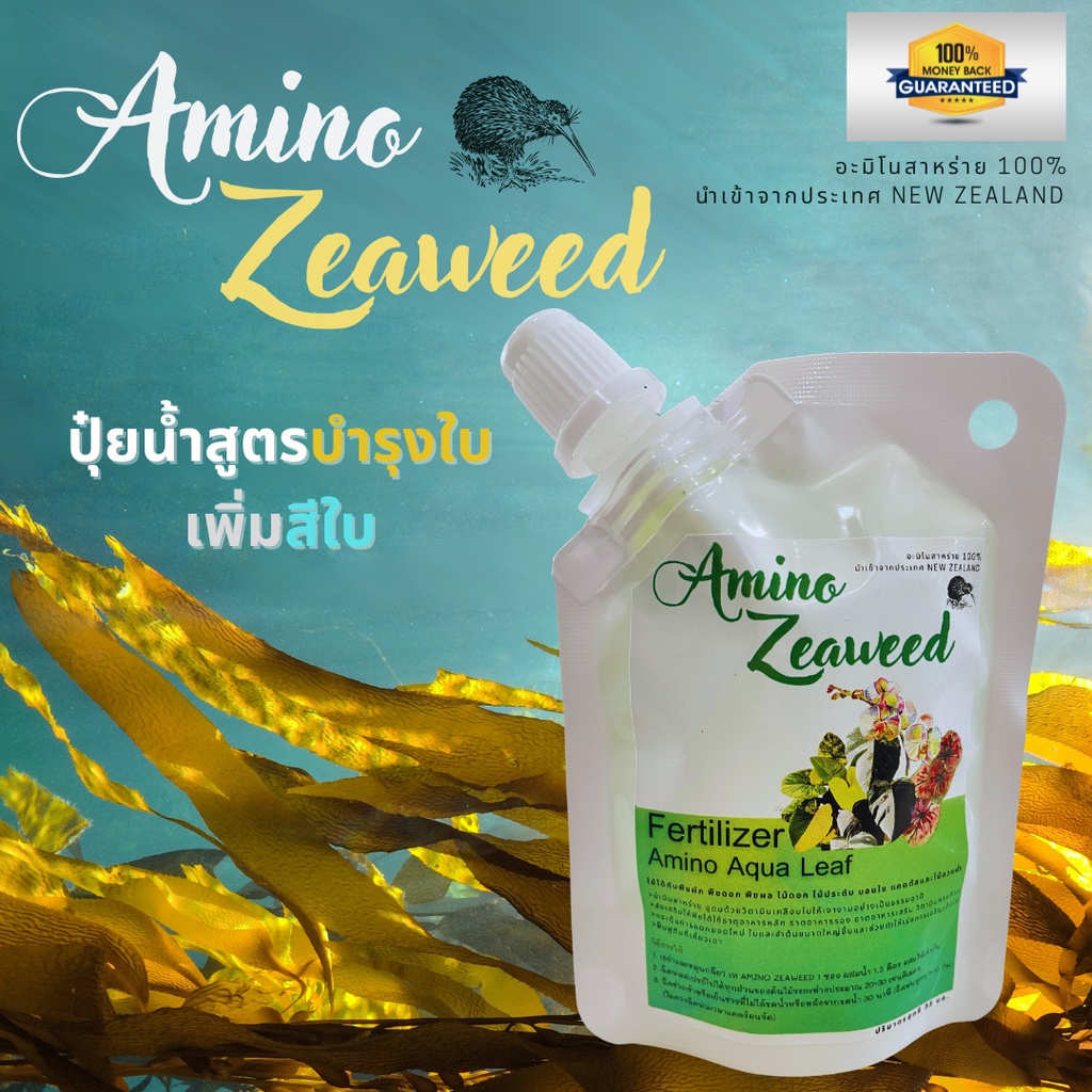 💥ปุ๋ยน้ำทางใบ อะมิโนสาหร่ายสกัด สูตร Amino Aqua Leaf นำเข้าจากนิวซีแลนด์ ใช้ดีกับไม้ฟอกอากาศ แคตตัส ผักสวนครัว ไม้ดอก