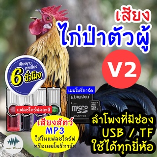 (MP3 เสียงต่อสัตว์) เสียงไก่ป่าผู้ V.2 [6ชั่วโมง] ใส่แฟลชไดร์ฟ/เมมโมรี่ มีเก็บเงินปลายทาง เสียงดี ชัด100% ไม่มีโฆษณาแทรก