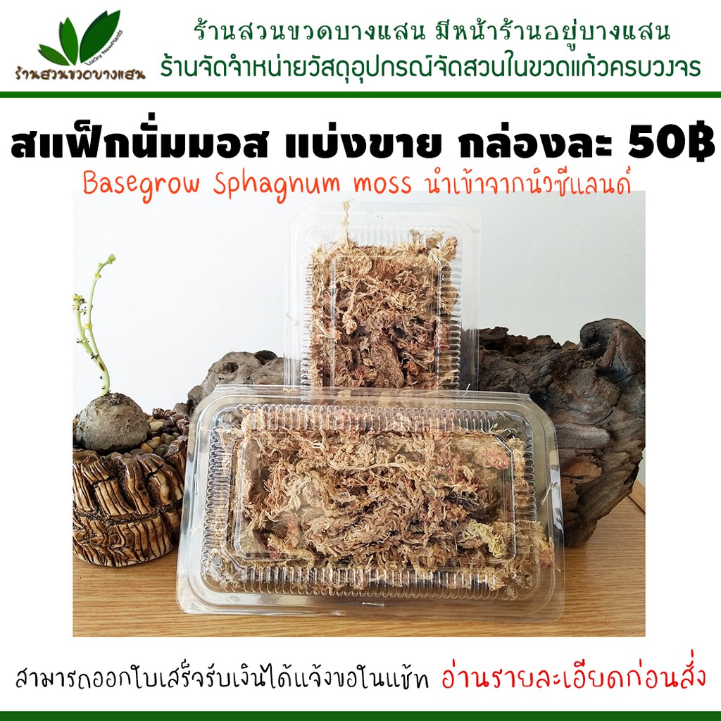 Sphagnum moss สแฟ็กนั่มมอส แบ่งขายกล่องละ 50฿ สินค้าพร้อมส่ง