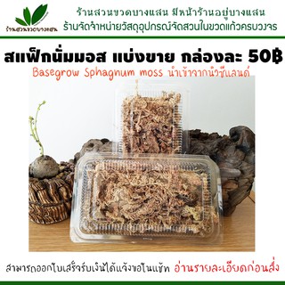 Sphagnum moss สแฟ็กนั่มมอส แบ่งขายกล่องละ 50฿ สินค้าพร้อมส่ง ขนาดปริมาณตามที่ระบุไว้ กรุณาอ่านก่อนสั่ง