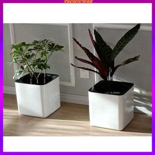 [PREMIUM] Modern Plastic Self Watering Herbs Planter Pot w/Water Level Indicator S