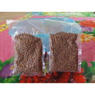 เม็ดผักชีหอม 100 กรัม ( ปลูกได้ )