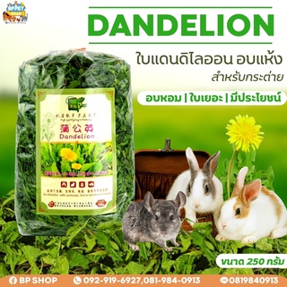 ใบแดนดิไลออนอบแห้ง อาหารกระต่าย หญ้ากระต่าย (Dried Dandelion Leaves) สำหรับสัตว์ฟันแทะ