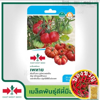 East-West Seed เมล็ดพันธุ์มะเขือเทศ (Tomato seeds) เพทาย เมล็ดพันธุ์ผัก เมล็ดพันธุ์ ผักสวนครัว มะเขือเทศฟักทอง ตราศรแดง苹