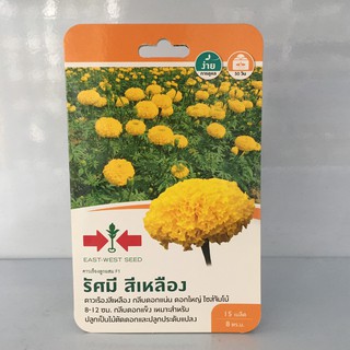 ดาวเรือง รัศมี สีเหลือง 15เมล็ด ศรแดง