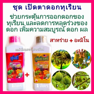 ชุด เปิดตาดอกทุเรียน กระตุ้นออกดอก สาหร่าย+อะมิโน ยูโรซี+ยูโรโกรด์ 1ลิตร ช่วยกระตุ้นให้ทุเรียนออกดอกมากขึ้น ออกดอกได้ดี