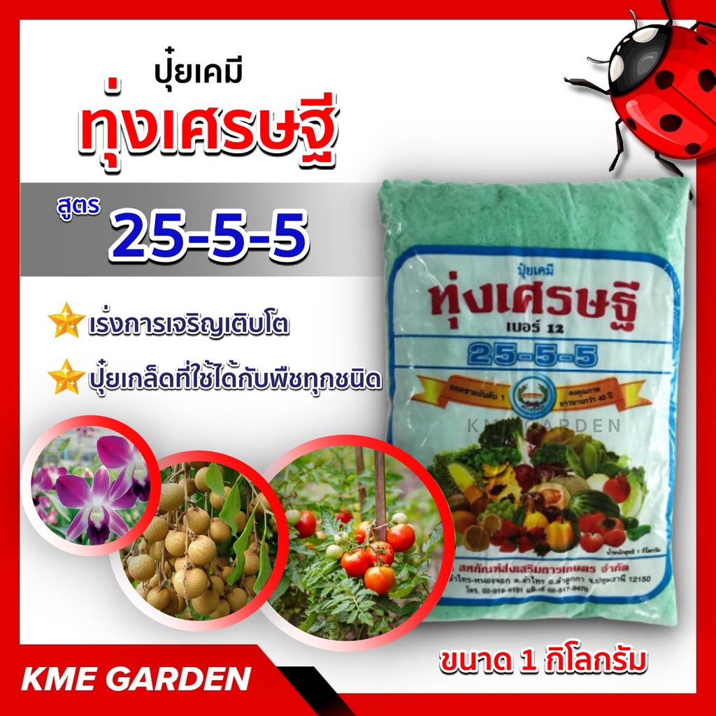 ปุ๋ยเกล็ด ทุ่งเศรษฐี 25-5-5 ขนาด 1 กิโลกรัม เร่งการเจริญเติบโตของพืชทุกชนิด ปุ๋ยเขียว หรือ ปุ๋ยเย็น ปุ๋ยเคมี