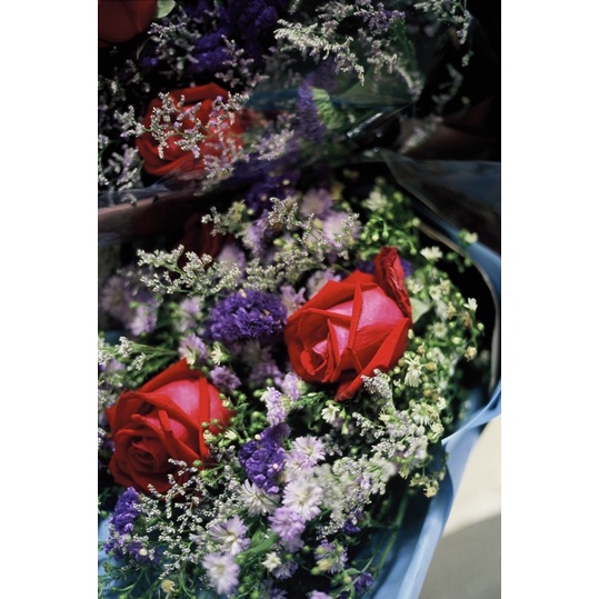 ฟิล์มหนัง Kodak Ektachrome 100D color reversal film e100d ฟิล์มสไลด์ ฟิล์มถ่ายรูป ฟิล์มสี e100