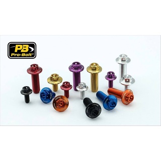 Pro-Bolt อลูมิเนียม Bodywork M6x12,16,20,25,30mm