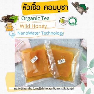 Scobyน้ำตั้งต้นสำหรับหมักคอมบูชา พร้อมชาออแกนิกรับรองUSDA แถมสูตรการทำอย่างละเอียด