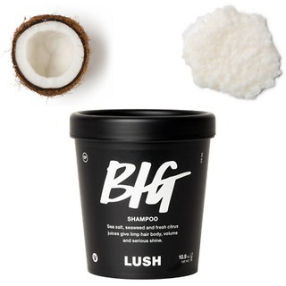 (ของใหม่) Lush Big Shampoo 310g/640g