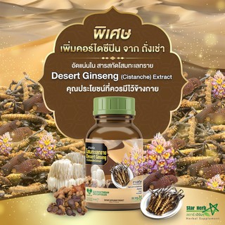 Star Herb  สารสกัดโสมทะเลทราย Desert Ginseng Extract 50 แคปซูล  เพิ่มภูมิคุ้มกันร่างกาย 50 แคปซูล