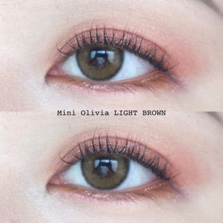 Mini olivia light brown พร้อมส่งค่าสายตา (kittykawaii)