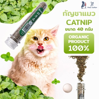 กัญชาแมว หญ้าแมว คลายเครียดแมว ขนาด 40 กรัม ji pets collar