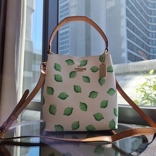 COACH 1625 SMALL TOWN BUCKET BAG WITH LIME PRINT