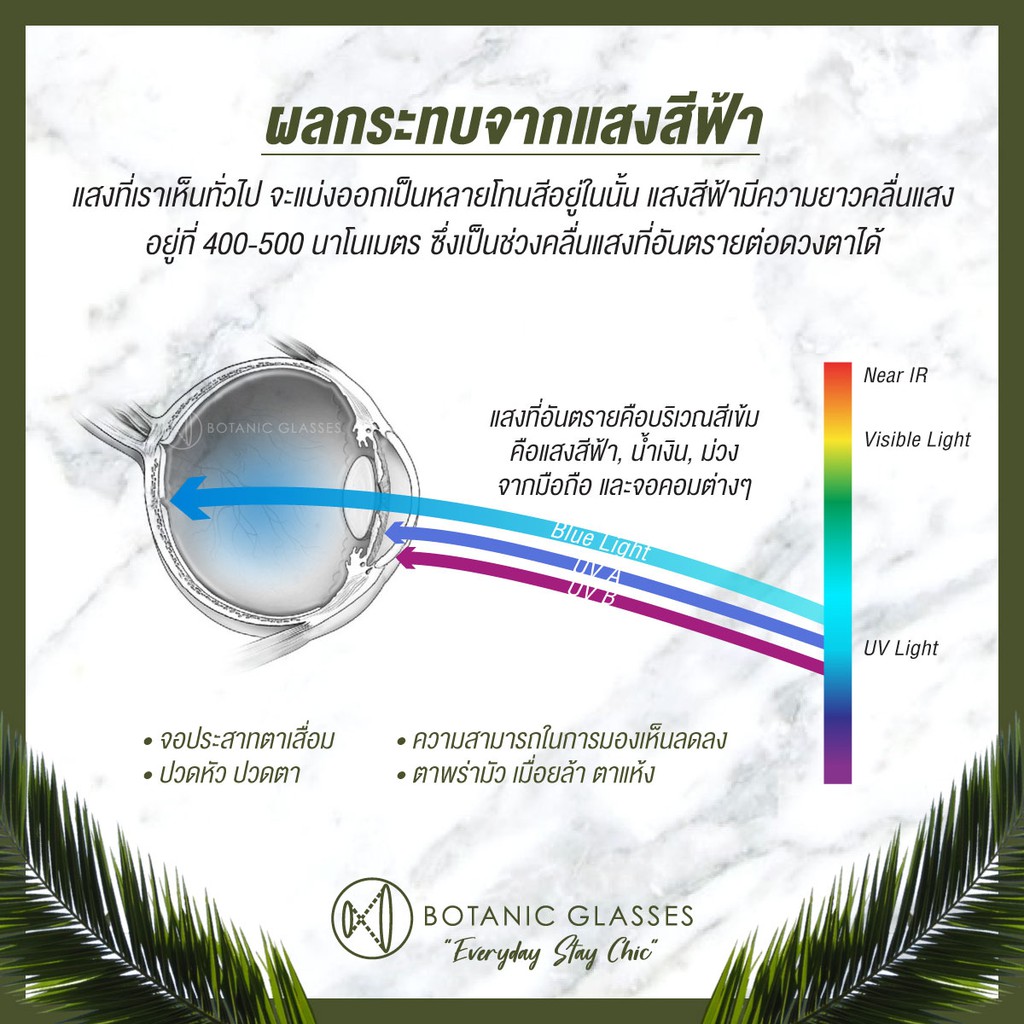 Botanic แว่นสายตายาว กรองแสง แท้ Super Blue Block มี3สี กรองแสงสีฟ้า 95% แว่นสายตา - รูปที่ 4