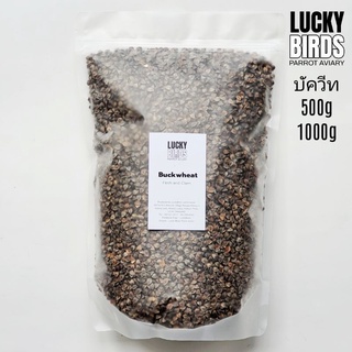 บัควีท Buckwheat สำหรับนก นกแก้ว สัตว์เลี้ยง คุณภาพสูง ขนาด 500กรัม และ1000กรัม