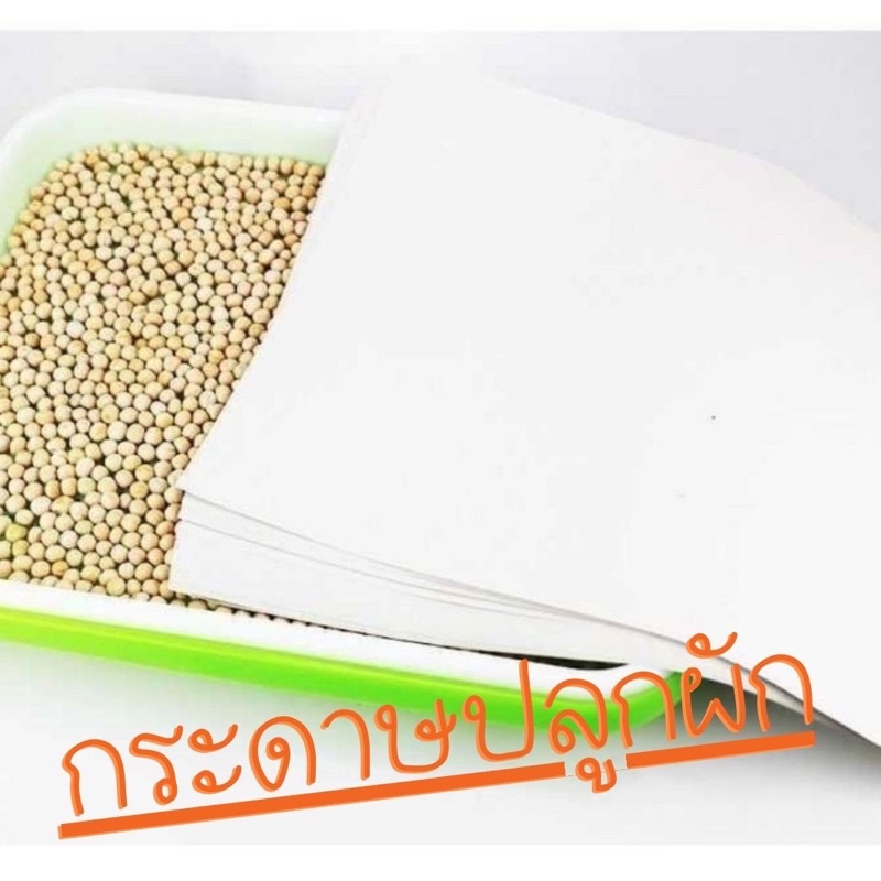 {พร้อมส่ง} กระดาษเพาะ กระดาษปลูกพืช ไร้ดิน ขนาด A4