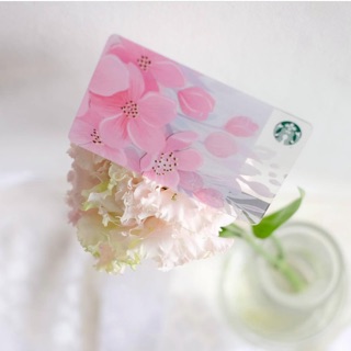 Starbucks card การ์ดสตาร์บัคส์ไทย