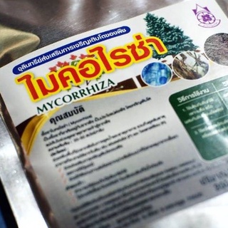 ไมคอไรซ่า 1 กิโลกรัม ไมคอร์ไรซ่า ไมคอไรซา Mycorrhiza มั่นใจ100%