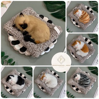 พร้อมส่ง💯 ที่นี่ที่เดียว!! 🐶ตุ๊กตาหมา 🐱ตุ๊กตาแมว 🐼ตุ๊กตาหมีแพนด้า ตุ๊กตา🦊จิ้งจอก ตุ๊กตาดูดกลิ่น น่ารักฝุดๆๆๆๆ