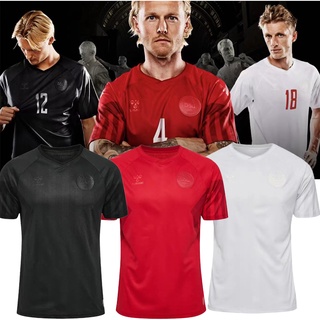 เสื้อกีฬาแขนสั้น ลายทีมชาติฟุตบอล Denmark 2022-23 ชุดเหย้า สําหรับผู้ชาย