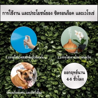 สเปรย์เปลือกส้มไล่ยุง และแมลงทุกชนิด หนู และ จิ้งจก VELOCE (เวโรเช่) ขนาด 1 ลิตร (223-1)